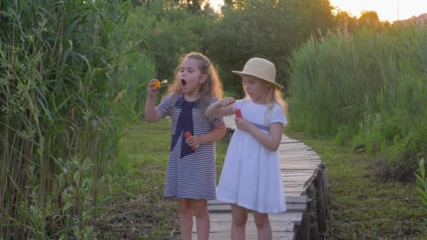 Niedliche kleine Freundinnen pusten Blasen, die auf einer Holzbrücke in der Natur zwischen grünem Gras stehen — Stockvideo