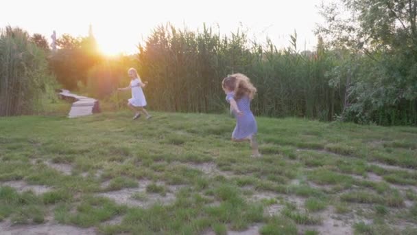 Szczęśliwy dzieci, aktywne zabawy dziewczyny grać dogonić i uruchomić na zielonym trawniku w przyrodzie w świetle słonecznym — Wideo stockowe