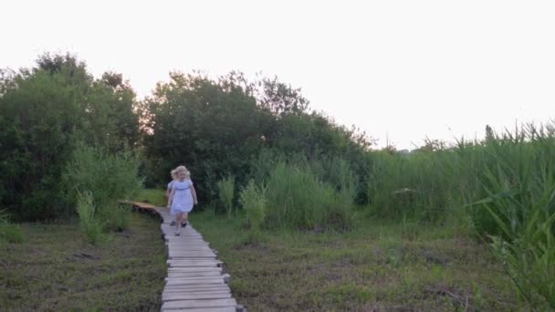 Šťastný malý přátelé dívka a chlapec hrát catch-up a běh na dřevěném mostě v přírodě mezi zelenou vegetací — Stock video