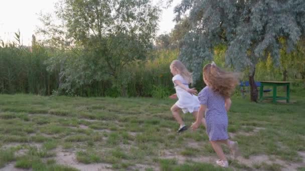 Радісні маленькі друзі, дівчата грають на зеленому лузі в яскравому сонячному світлі — стокове відео