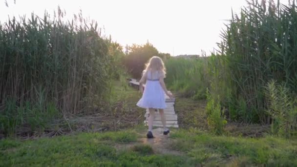 Игры на свежем воздухе, активный здоровый ребенок девочка и мальчик играть в догонялки и работать на деревянном мосту в природе среди зеленой травы — стоковое видео