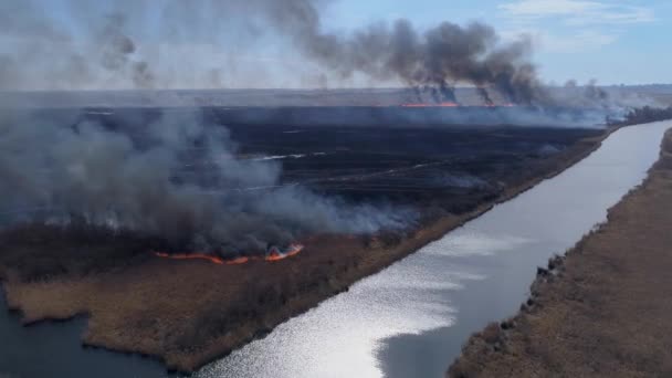 Destroy natural, large Wildfires fast moving by dry meadow with smoke going up to sky near river, aerial view — Stock Video