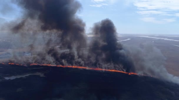 Catastrophe écologique dans la nature, grand feu se déplaçant rapidement par champ sec avec de la fumée montant au ciel près de la rivière, vue sur drone — Video