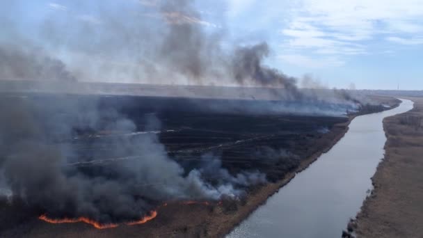 Nödsituation katastrof i naturen, stora Wildfires snabbt rör sig genom torra fält med rök går upp till himlen nära floden, fågelperspektiv — Stockvideo