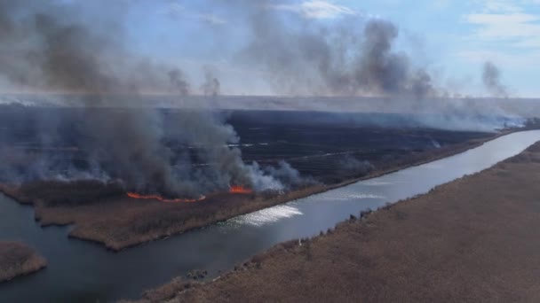 Calamidad de la naturaleza, grandes llamas que se mueven rápidamente por el prado seco con humo negro que sube al cielo cerca del río, levantamiento aéreo — Vídeos de Stock