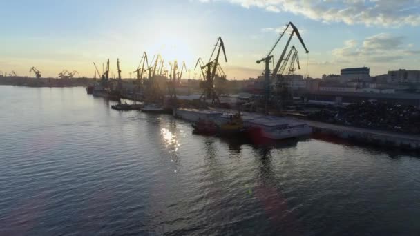 Infraestructura portuaria, atraque comercial con grúas elevadoras para la carga y descarga de buques de comercio internacional en la costa del mar contra el cielo en Sunset y aguas brillantes, levantamiento aéreo — Vídeo de stock