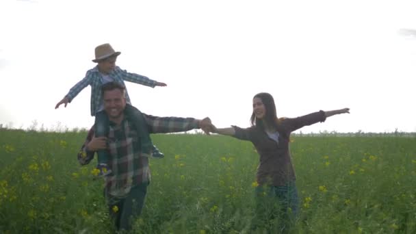 Glad pappa med son på axlar och mor med armar till sida gå i grön colza fält mot himlen — Stockvideo