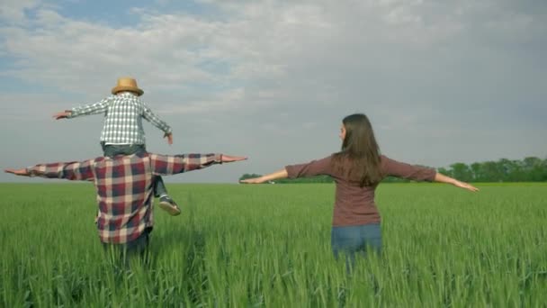 Familienbetrieb, Mann mit Kind auf den Schultern und Frau, die sich dreht und Spaß beim Spaziergang im grünen Weizenfeld hat — Stockvideo