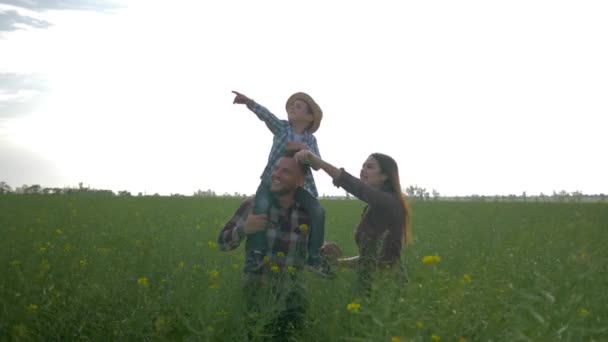 Homens engraçados com menino nos ombros e andar feminino e se comunicar no campo colza verde contra o céu brilhante — Vídeo de Stock