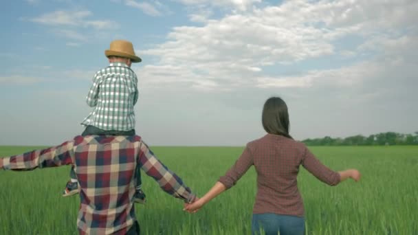 Familia feliz en el campo, papá joven con niño en hombros y mamá caminar en el campo de grano verde — Vídeos de Stock