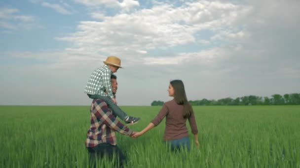 Αγροτική οικογένεια, ευτυχισμένος πατέρας με παιδί αγόρι στους ώμους και η μαμά τα πόδια σε πράσινο χωράφι με σιτάρι — Αρχείο Βίντεο