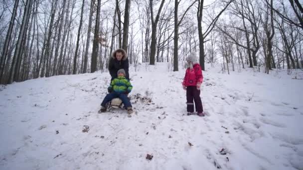 Gelukkig gezin met slee rustend in besneeuwd bos tijdens de wintervakantie — Stockvideo