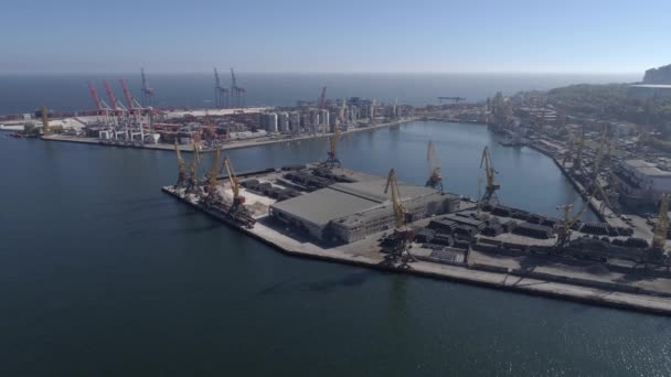 Aerial View of Industrial trading port with containers and lifting cranes on Sea coast against blue sky — ストック動画