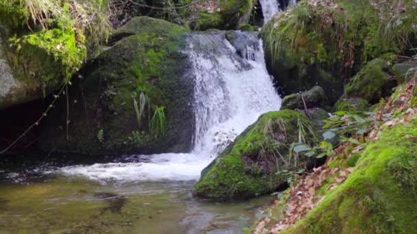 Asombrosa cascada de montaña pacífica, agua dulce pura fluye sobre grandes piedras verdes en cámara lenta — Vídeos de Stock