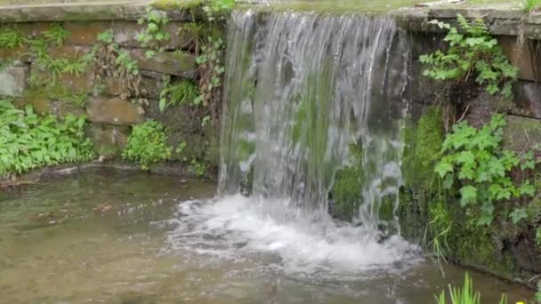 Natuur landschap, trapsgewijze waterval zoet zuiver water stroomt tussen gras in Slow motion — Stockvideo