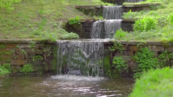 Beautiful stepped waterfall, spring clear water flows through stones stairs among green grass and plants in Slow motion — ストック動画