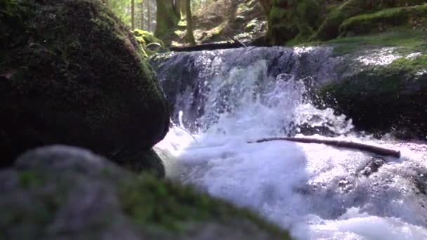 Natuurstroom loopt over stenen bedekt met groen mos en veel spatten vers en zuiver water stromen in Slow motion — Stockvideo