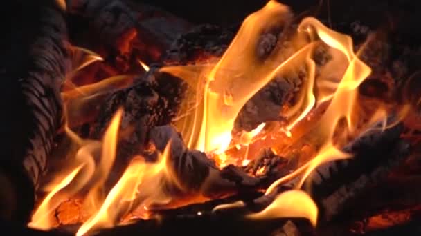 Beau feu de joie orange dans l'obscurité au ralenti — Video