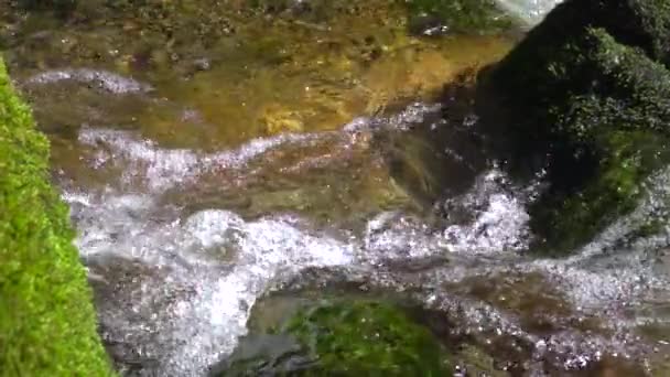 Helder water van waterval stroom loopt door grote stenen bedekt met mos close-up in slow motion — Stockvideo