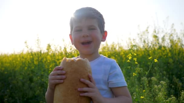 Jongen eet brood in het park buiten, hongerig gelukkig kind eet eten op weide in achtergrondverlichting, jong met brood in de hand — Stockvideo