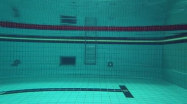 Profesyonel havuzda yüzme, spor kadını havuz başında yüzme eğitimi alırken suya daldı.