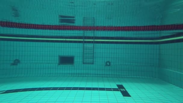 Професійне плавання в басейні, спортивна жінка занурюється під воду під час тренувань у Пулсайді. — стокове відео