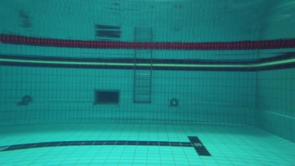 Professionelles Schwimmen im Pool: Sportlerin stürzt beim Schwimmtraining am Beckenrand unter Wasser — Stockvideo