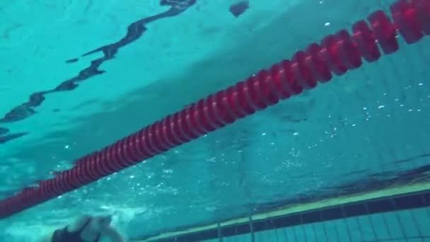 Natation sportive féminine flottant dans la piscine d'eau bleue pendant l'entraînement avant la course — Video