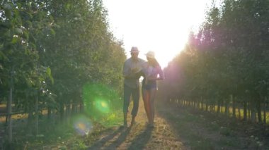 Çiftçilik, mutlu genç ebeveynler elma bahçesinde küçük çocukla oynuyorlar.