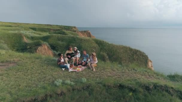 Drone widok na firmę wesoły młodzieży zabawy i gry na instrumencie strunowym podczas pikniku w przyrodzie na zielonej trawie — Wideo stockowe