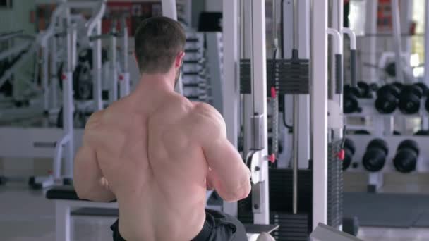 Entrenamiento de la fuerza, hombre desnudo fuerte del culturista que hace entrenamiento del edificio del músculo en el simulador de la tracción mientras que trabaja en el cuerpo en el club deportivo — Vídeos de Stock