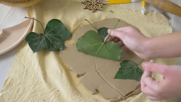 Kerámia kézműves, karok kreatív kézműves húzza préselt zöld élő levelek puha agyag az asztalon, hogy agyag termék művészeti munkaterem felülnézet — Stock videók