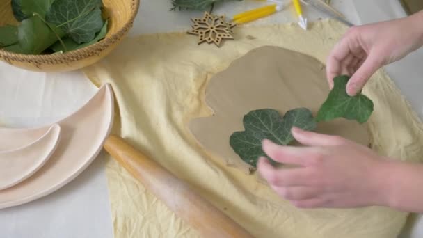 Ceramika ręczna, ramiona profesjonalnego rzemieślnika naciśnij zielone liście życia do miękkiej gliny przy użyciu wałka na stole do produkcji ceramiki w studio sztuki widok z góry — Wideo stockowe