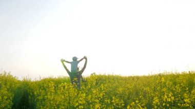 Aile gün ışığında doğada oynar, çocuk omuzlarına oturur babası çimenlerde, mutlu babası arka plandaki çocukla.
