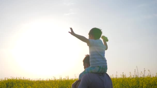 Papá y el hijo juegan en el parque al aire libre, la familia levantando las manos jugando en la luz de fondo, el hijo se sienta sobre los hombros padre en el prado — Vídeos de Stock