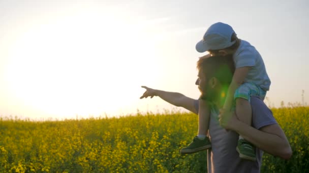 Förhållanden barn med pappa, pappa med liten pojke gå genom fält och peka hand i avstånd, fältet promenad av pappa och son — Stockvideo
