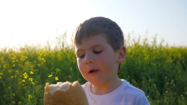 Портрет маленький мальчик ест хлеб в парке на открытом воздухе, голодный счастливый ребенок ест пищу на лугу в подсветке — стоковое видео