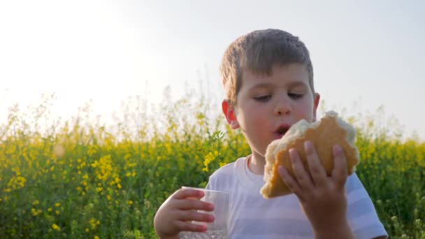 Radosny chłopiec jedzący jedzenie w parku na świeżym powietrzu w słoneczny dzień, młody z bochenkiem chleba i szkłem w ręku na tle pola kwiaty — Wideo stockowe