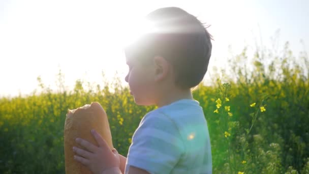 Fiatal kenyérrel a kezében a háttérben mező, boldog kisfiú eszik kenyeret a parkban szabadban, éhes gyermek eszik ételt — Stock videók