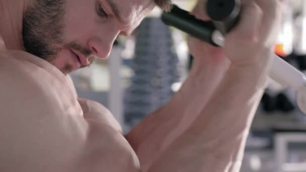 Bodybuilder προπόνηση, επαγγελματίας αθλητής κάνει ασκήσεις δύναμης στους μυς των χεριών σε προσομοιωτή κατά τη διάρκεια της κατάρτισης δύναμης στο γυμναστήριο — Αρχείο Βίντεο