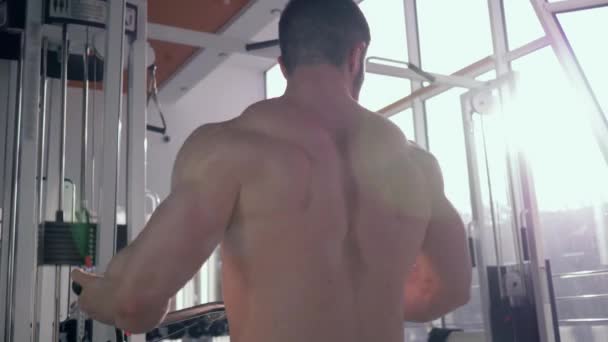 Entrenamiento deportivo profesional, fuerte culturista masculino haciendo entrenamiento del edificio del músculo en simulador de la tracción para los brazos mientras que trabaja en cuerpo en el club de la aptitud — Vídeo de stock