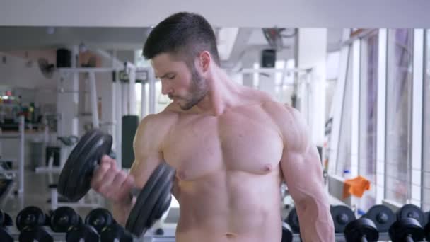 Vücut geliştirme, spor kulübündeki kas geliştirme çalışmaları sırasında elinde dambıllarla egzersiz yapan sporcu. — Stok video