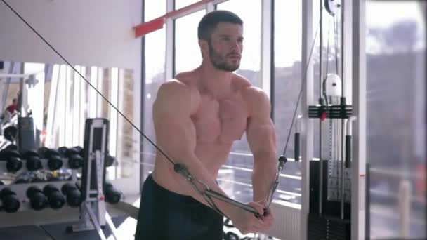 Bodybuilder training, strong athlete guy performs an exercise for muscle building workout on traction simulator while working on body at fitness center — Stock Video