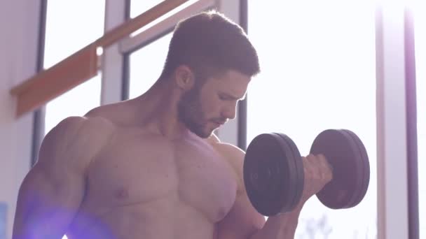 Silny kulturysta człowiek robi ćwiczenia siłowe z hantlami w ramionach podczas treningu siłowego do budowy mięśni na siłowni w słońcu i blasku — Wideo stockowe