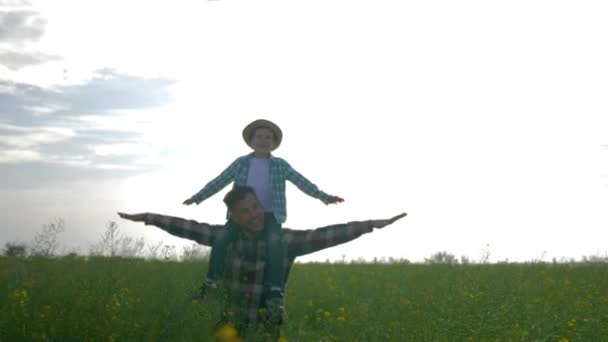 Отец и сын идут по лугу, ребенок сидит на плечах папа и играет в самолет с поднятыми руками на рапсовом поле на фоне неба — стоковое видео