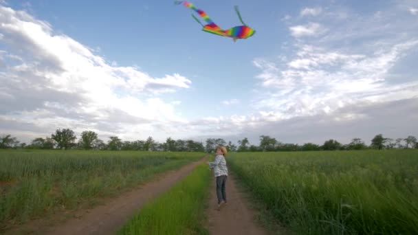 Feliz infancia en la naturaleza, niño corriendo en sombrero y camisa a cuadros juega con volando cometa en cámara lenta en el campo en el fondo del cielo — Vídeos de Stock