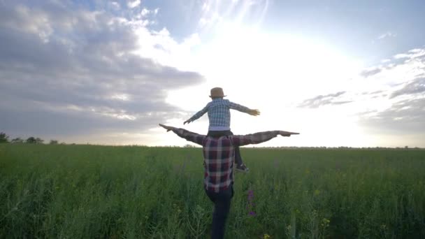 Criança senta-se nos ombros dos pais andando no prado e jogar avião com os braços levantados no campo de colza no céu de fundo em câmera lenta — Vídeo de Stock