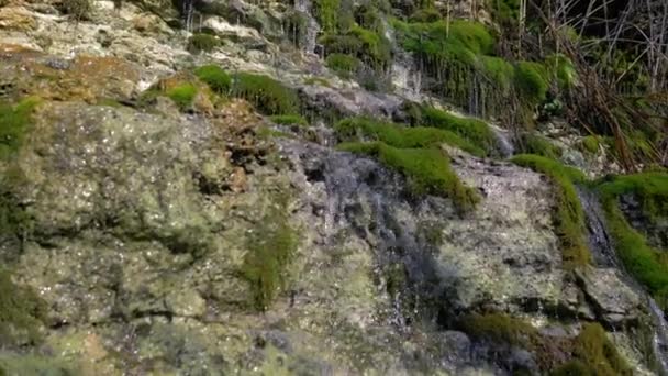 Beautiful nature waterfall of fresh water run through stones overgrown with green moss, Travel on landscape — ストック動画