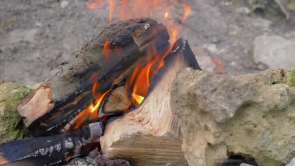 Api unggun, jeruji kayu besar terbakar dalam api di piknik — Stok Video