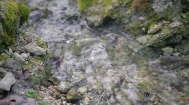 Doğal manzara, taşların arasından akan saf çağlayan su akıntıları yosun ile kaplanmış.